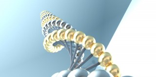 L’ADN : de l’insondable complexité du vivant à l’insignifiance marketing